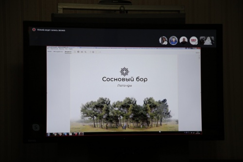 Руководству города представили предложение по благоустройству территории Соснового бора